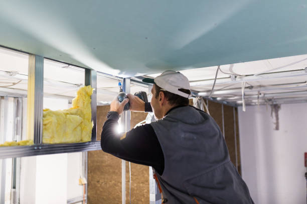Best Insulation for Specific Applications in Newark, NY