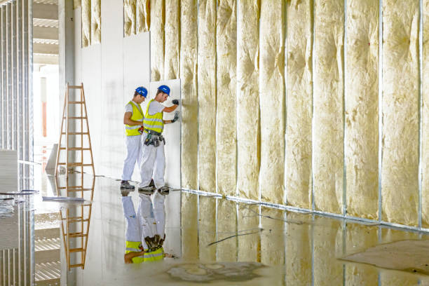 Best Insulation Maintenance and Repair in Newark, NY